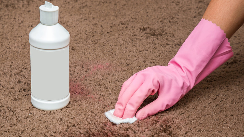 gloved hand cleaning carpet