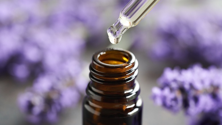 Dropping lavender oil in bottle