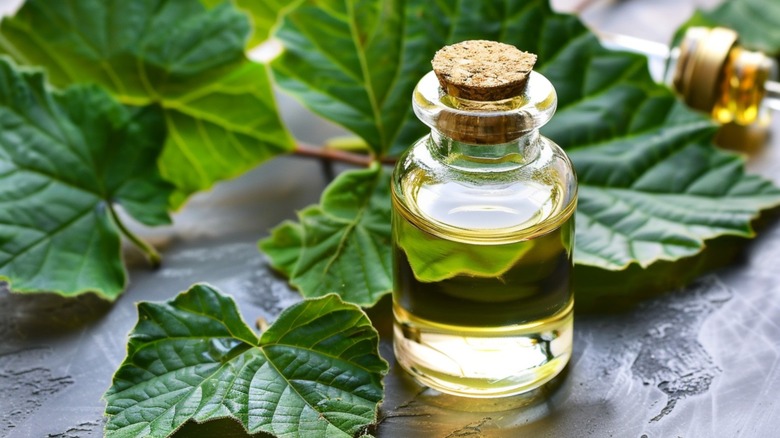 Bottle of patchouli oil and leaves