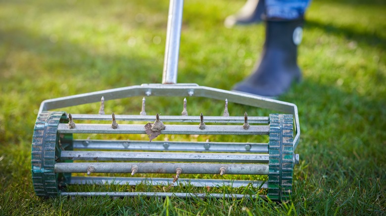 Person aerating the lawn