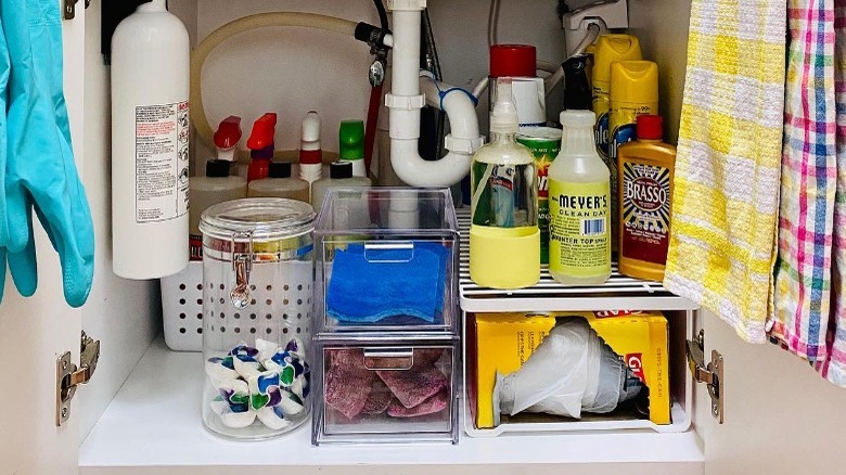 Cleaning supplies under a sink