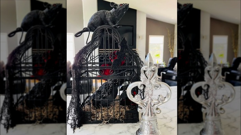 bird cage for halloween decor