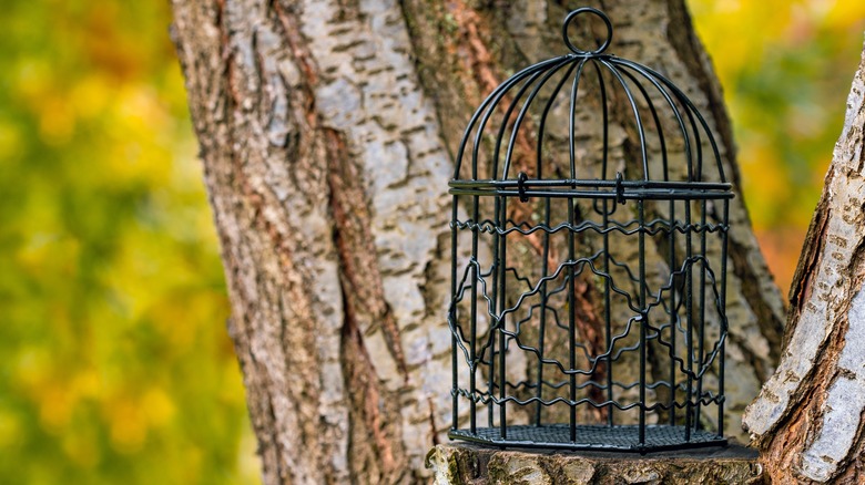 bird cage and tree