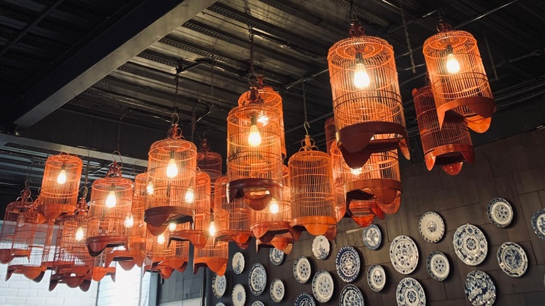 hanging bird cage light fixtures