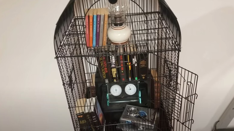 bird cage holding books