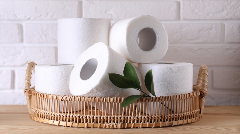 Toilet paper rolls on tray