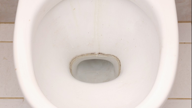 Black mold in toilet bowl