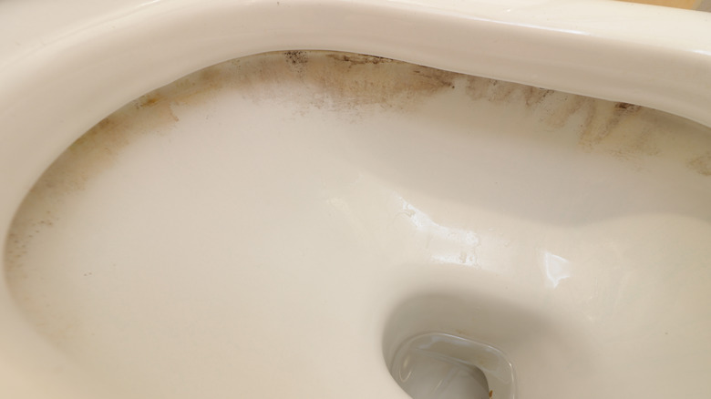 Limescale at rim of toilet