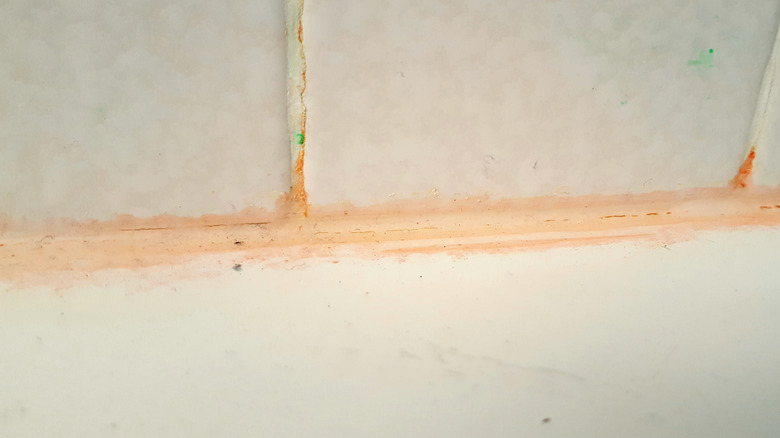 Pink bacterial mold in shower