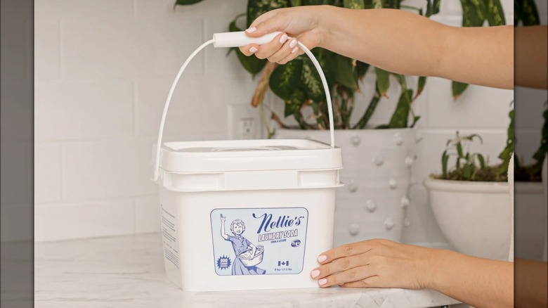 Woman holding handle of laundry soda box