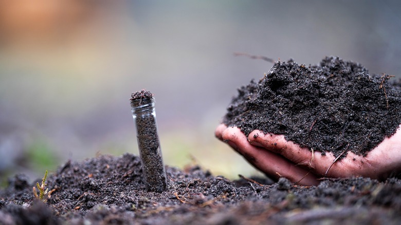 Hand collecting soil samples to test