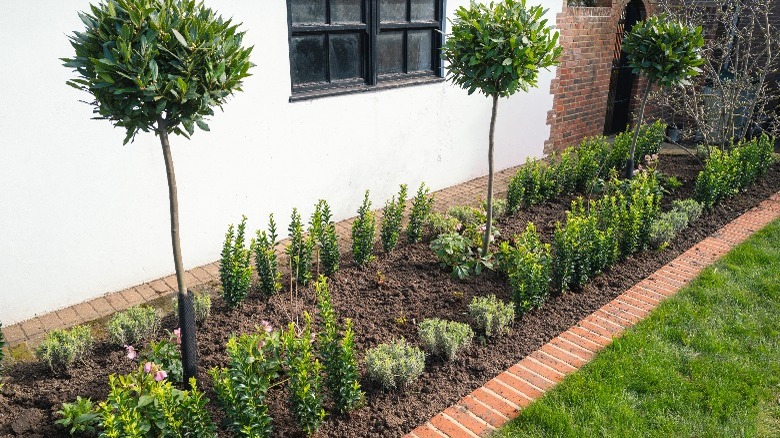 A row of simple brick edging for landscaping alongside a house.