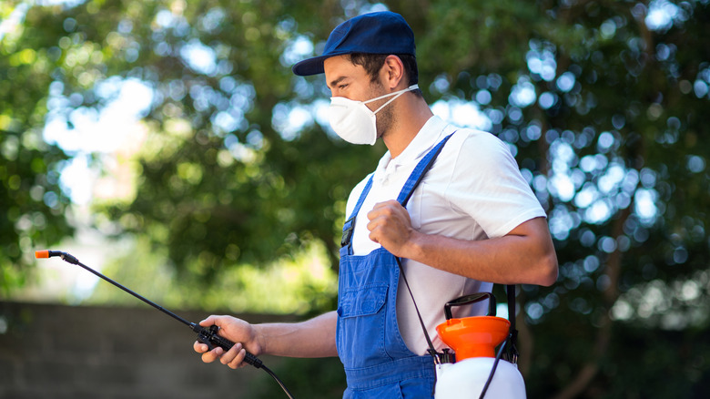 Man spraying chemicals