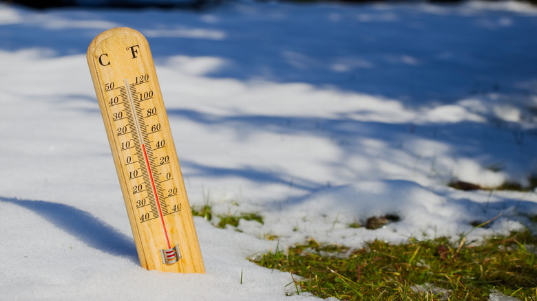 Thermometer in melting snow