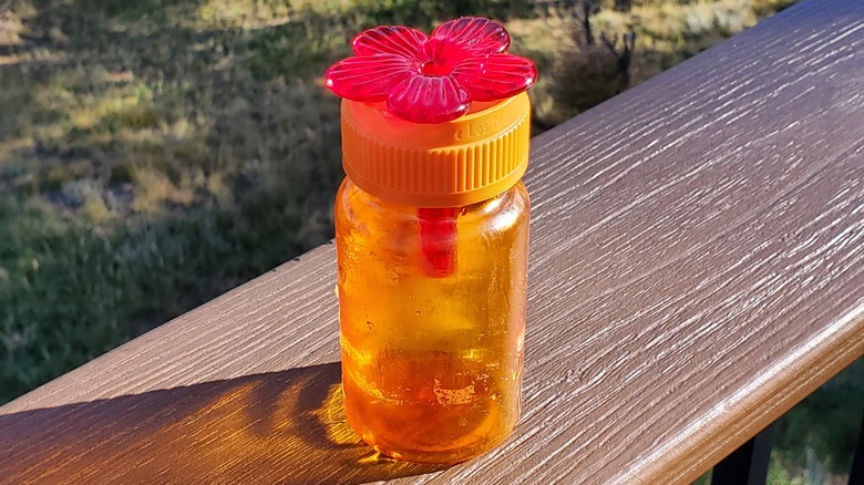 pill bottle hummingbird feeder