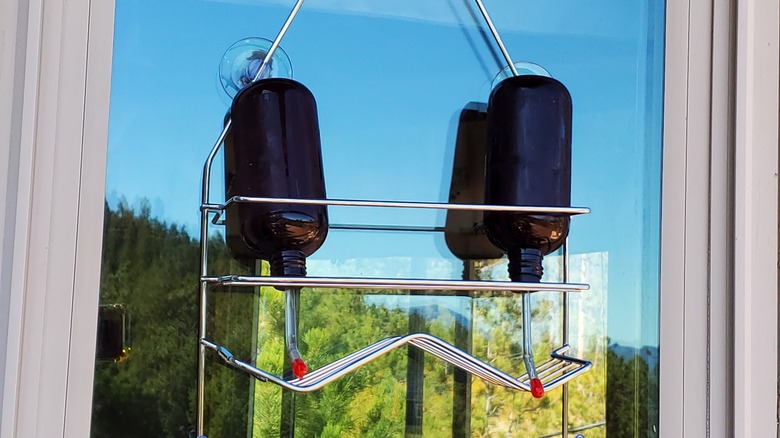 shower caddy hummingbird feeder holder