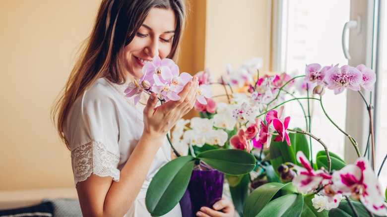 woman smelling purple orchid