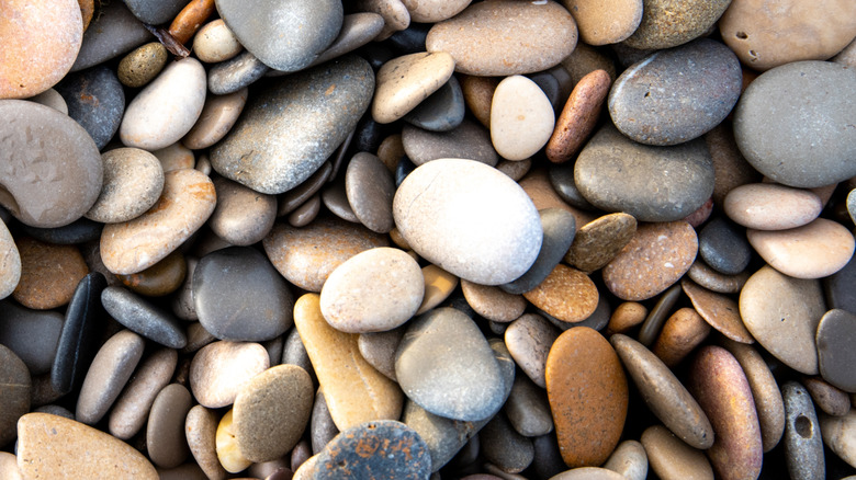 An assortment of river pebbles