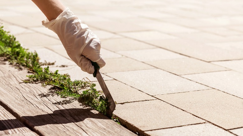 removing weeds from patio