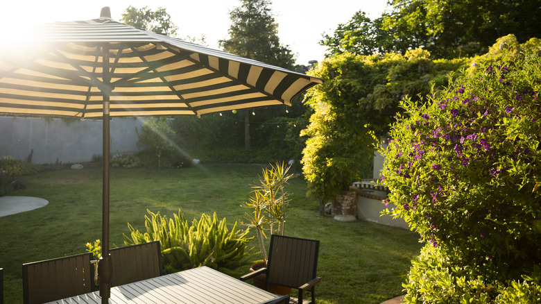 pin striped patio umbrella