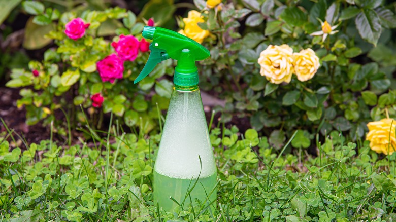 spray bottle near garden