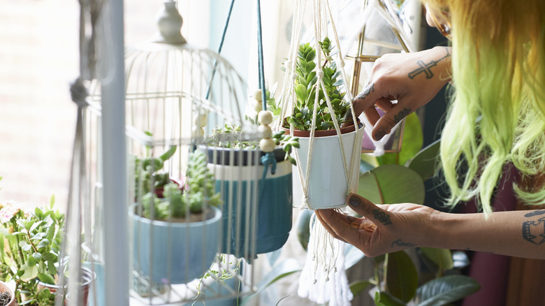 hanging planter made with rope and cords