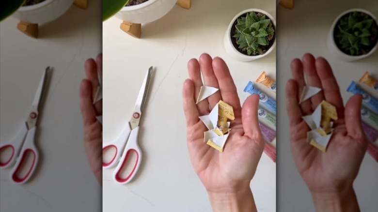 A hand holding cut up pieces of an eco-friendly cardboard lip balm container.