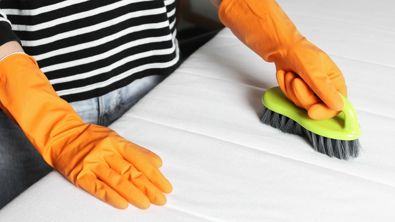 Person scrubbing a mattress