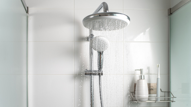 Bathroom showerheads