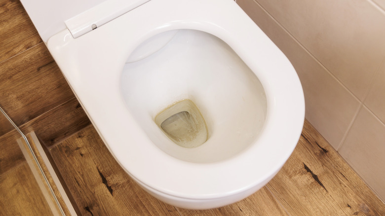 Stains in toilet