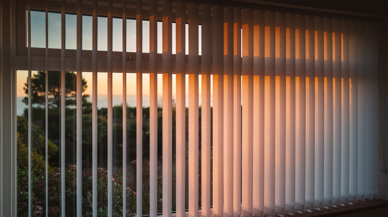 vertical blinds on windows