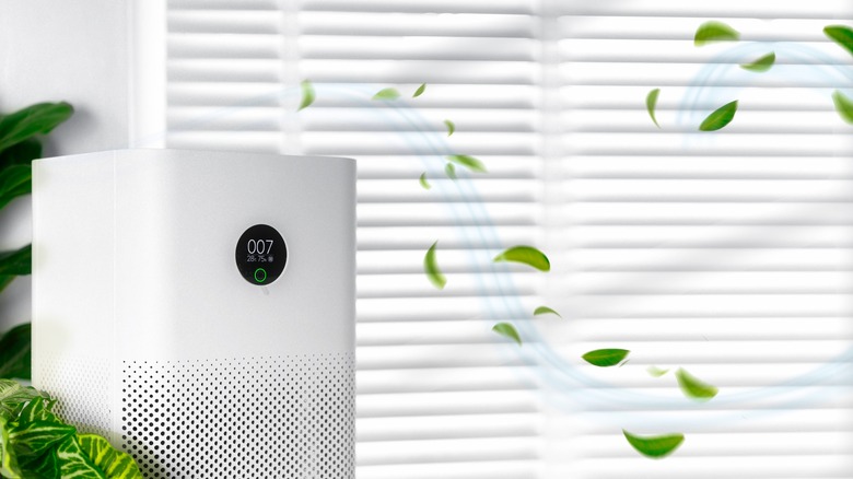 air purifier by windows