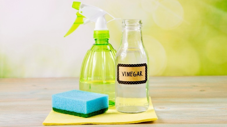 spray bottle sponge and white vinegar