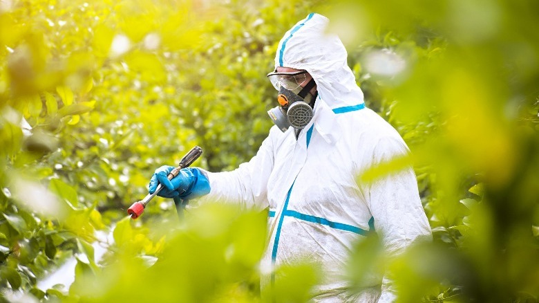 exterminator in protective gear spraying trees
