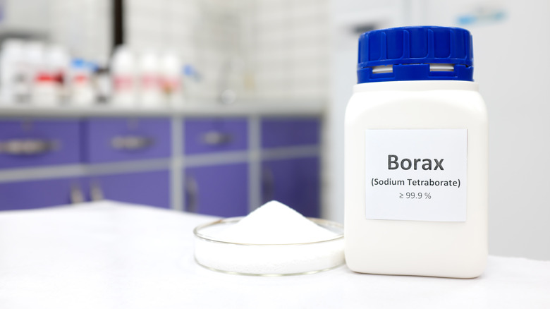 Borax container in lab