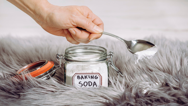 Sprinkling baking soda on carpet