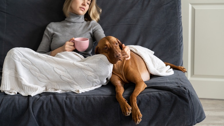 Woman and dog on couch