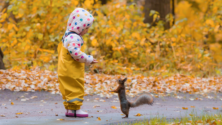 little girl feeding squirrel