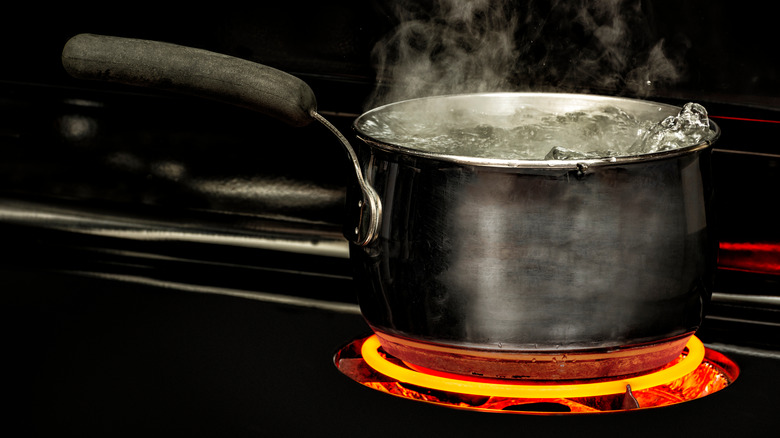 Water boiling in pot on stove
