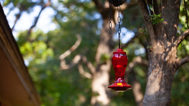 hummingbird feeder in the shade