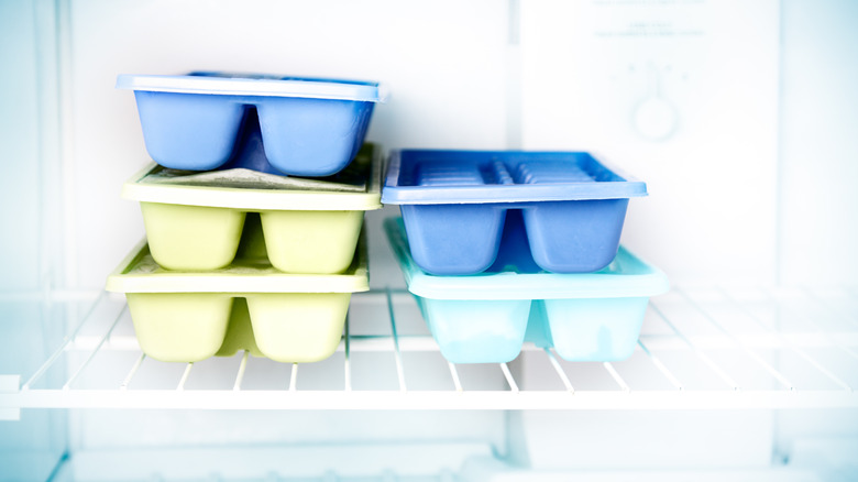 ice cube trays in a freezer