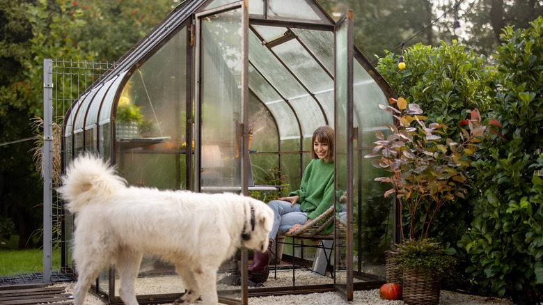 Woman in greenhouse in her backyard with a dog