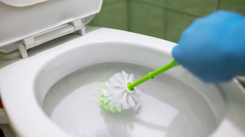 A gloved hand using a toilet brush to clean a toilet