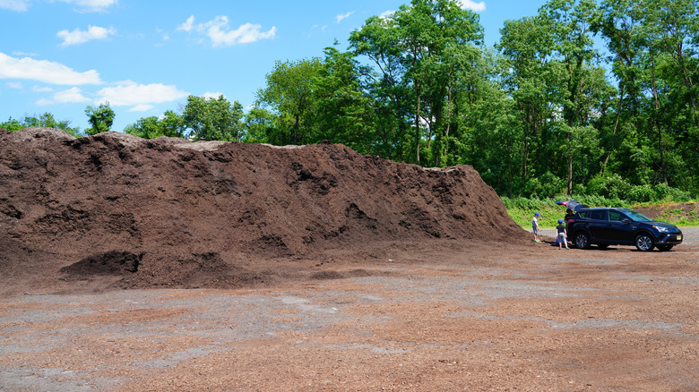 large pile of free mulch from a local municipality