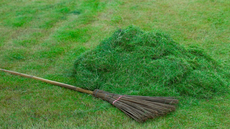 raked up pile of lawn clippings