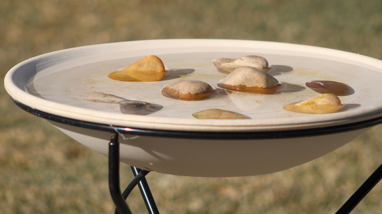 Stones in a light-colored bird bath