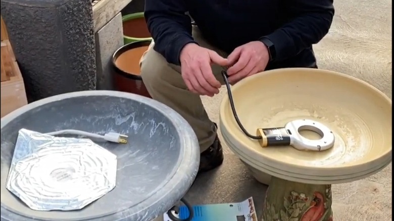 Person setting up an immersive heater in a bird bath