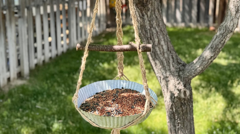 bird feeder in macrame hanger