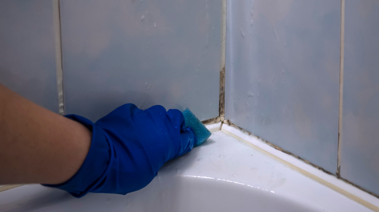 Scrubbing bathroom mildew