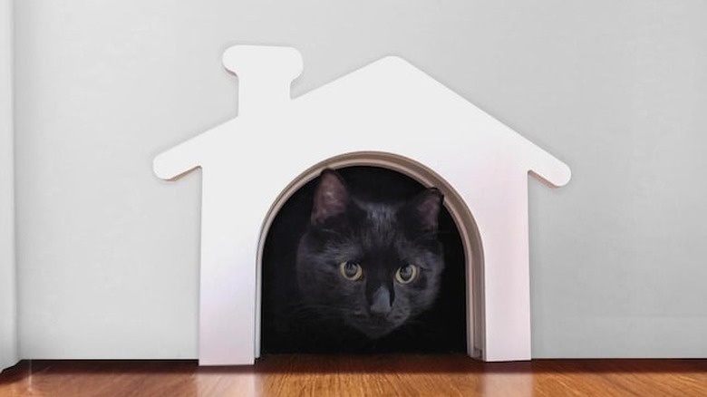 Doggy/kitty door frame shaped like a house, cat inside